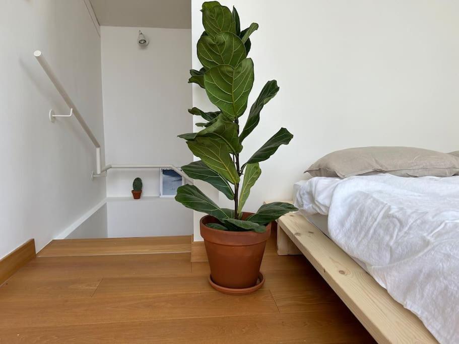 Casa Alegria Apartment Trento Ngoại thất bức ảnh