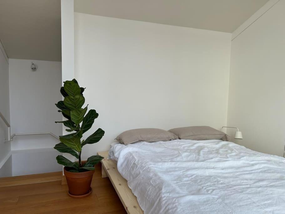 Casa Alegria Apartment Trento Ngoại thất bức ảnh