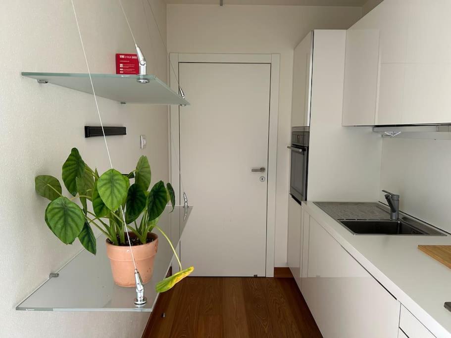 Casa Alegria Apartment Trento Ngoại thất bức ảnh